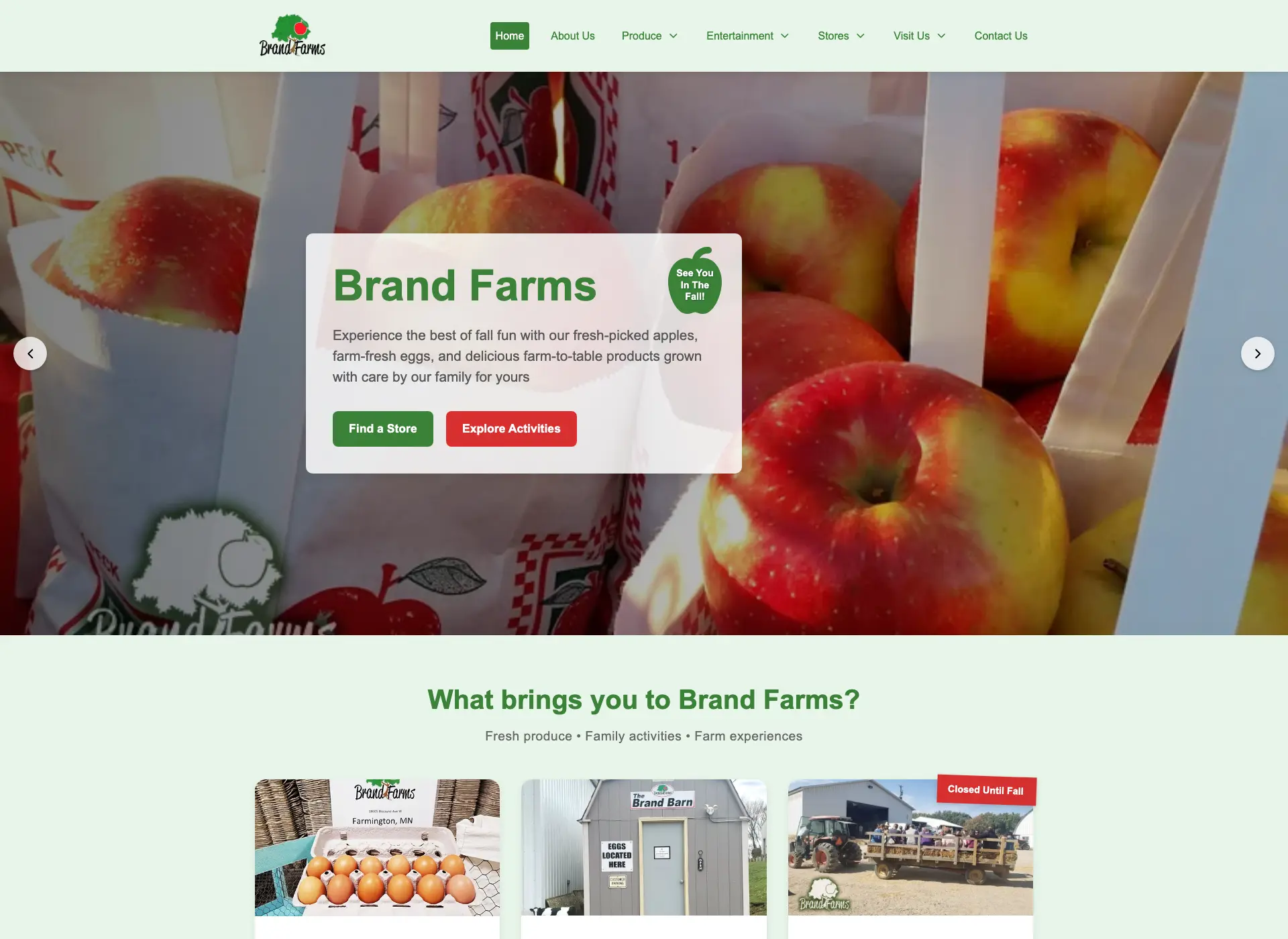 Screenshot of Brand Farms Website website - Business Information Website project by Visser Analytics