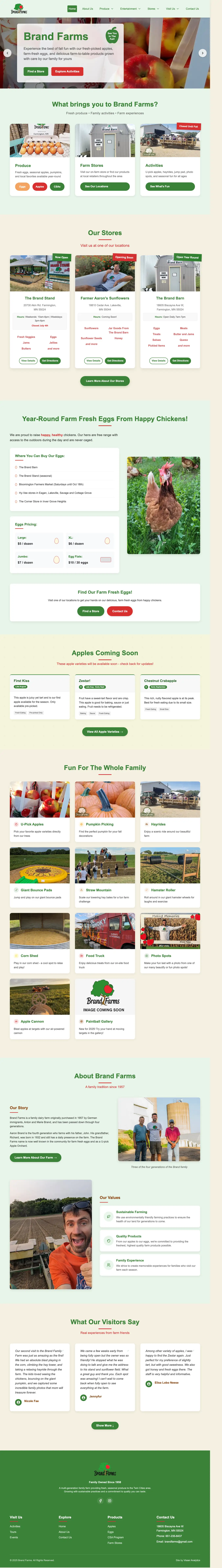 Homepage Screenshot - Website Design by Visser Analytics