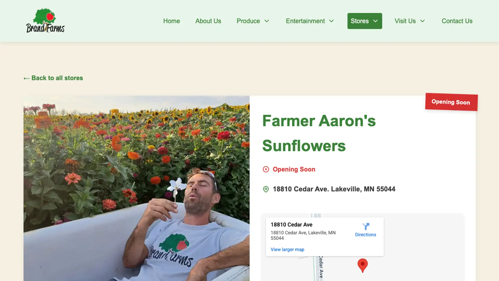 Aaron's Sunflowers Store Page Thumbnail