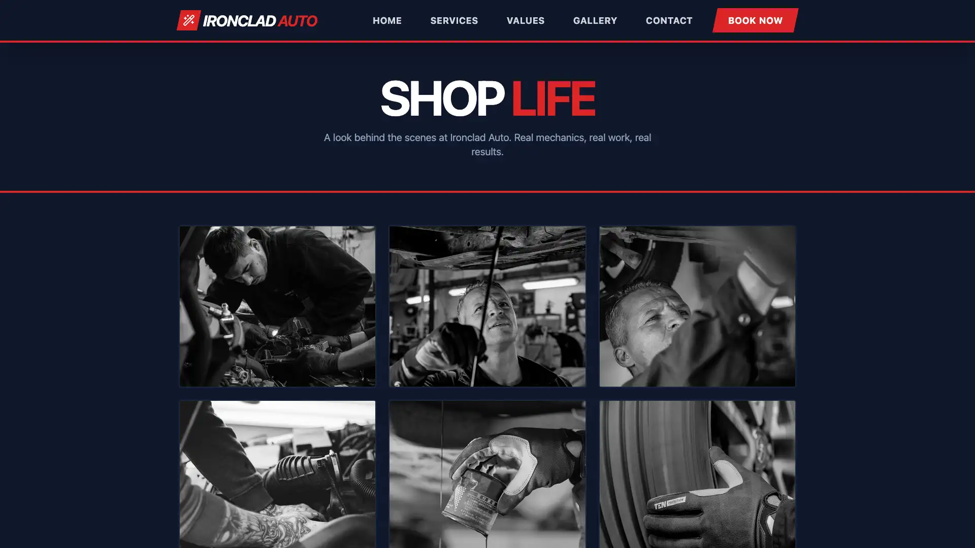 Gallery Page Page Thumbnail - Website Design by Visser Analytics