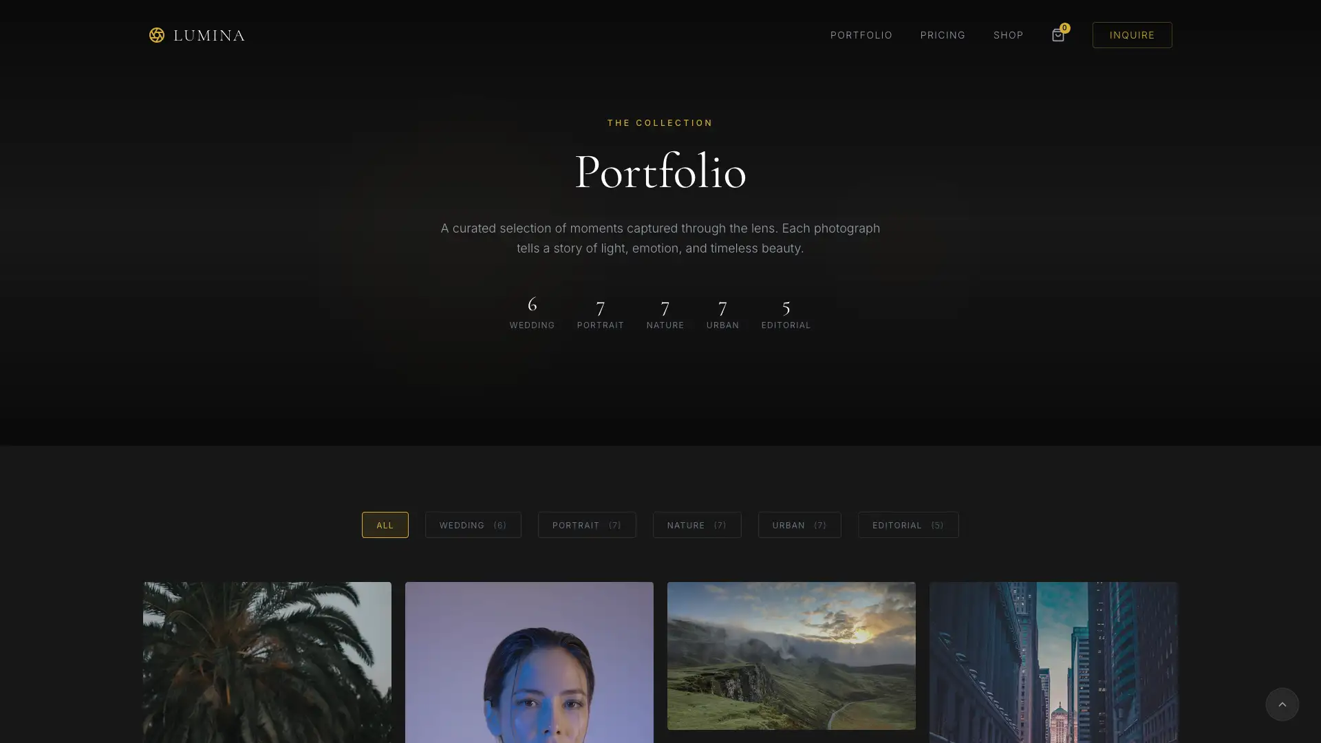 Portfolio Page Page Thumbnail - Website Design by Visser Analytics