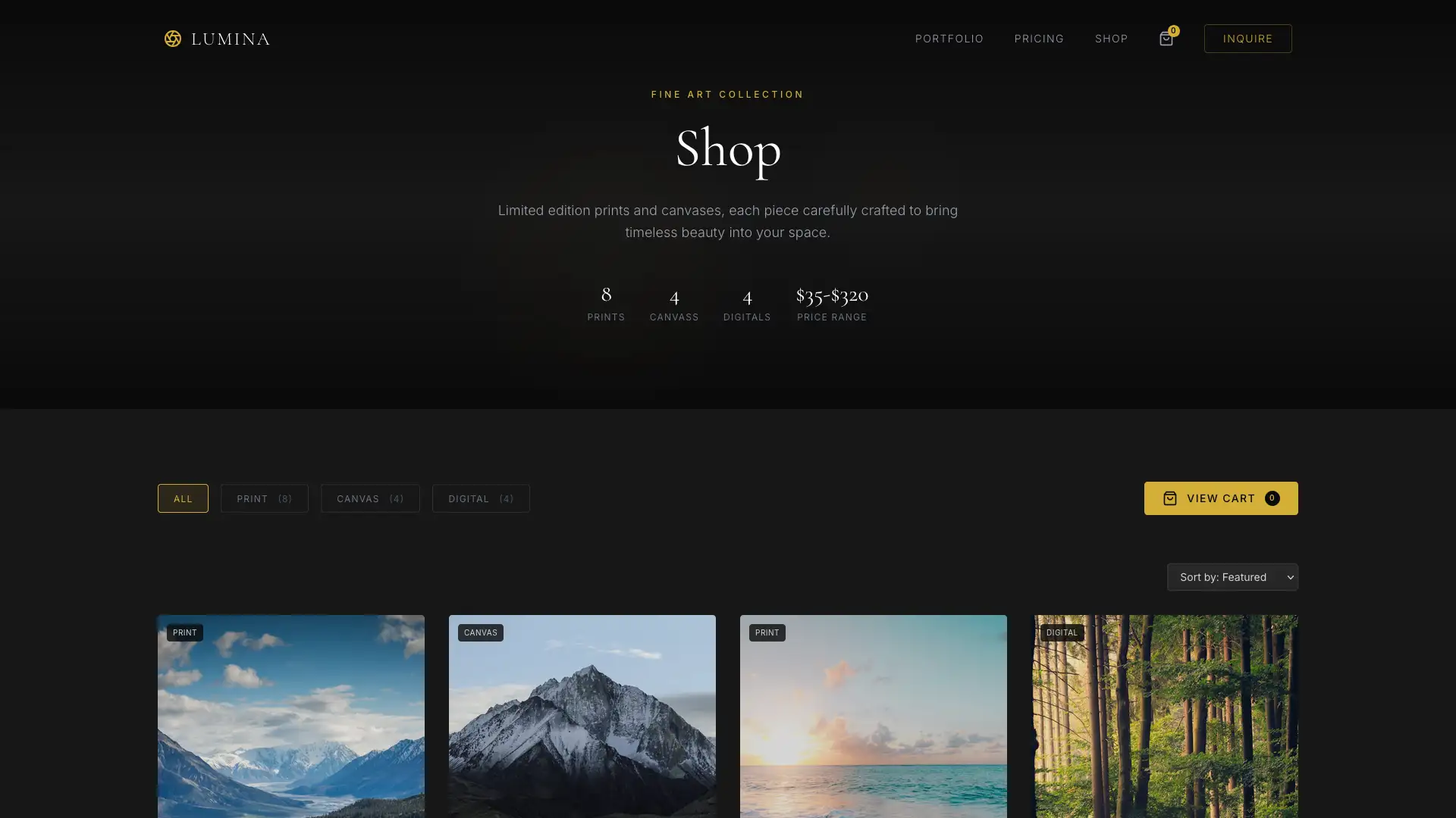Shop Page Page Thumbnail - Website Design by Visser Analytics